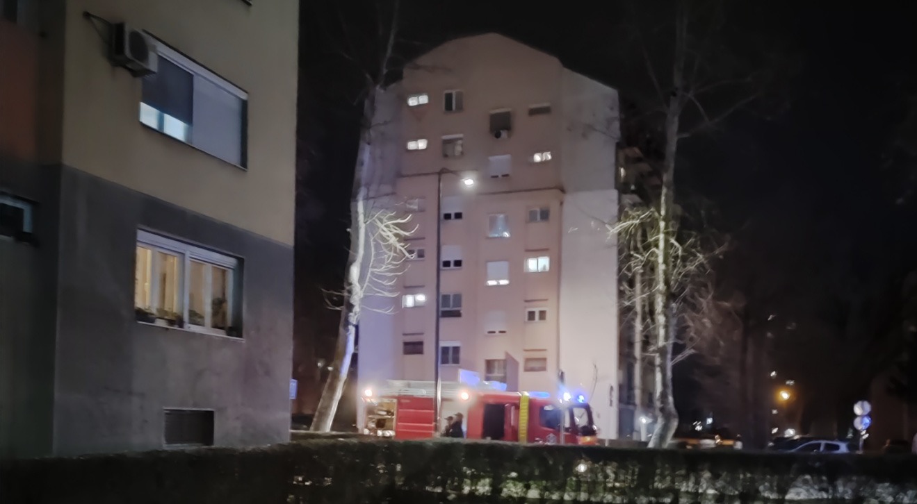 Pozar Nikole Pasica1