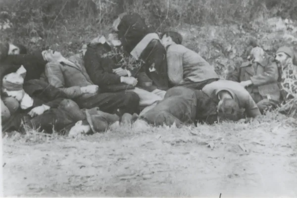 ISTRAŽIVANJE O STRADANJU ROMA U KRAGUJEVCU 1941: Utvrđeno 199 streljanih Streljani