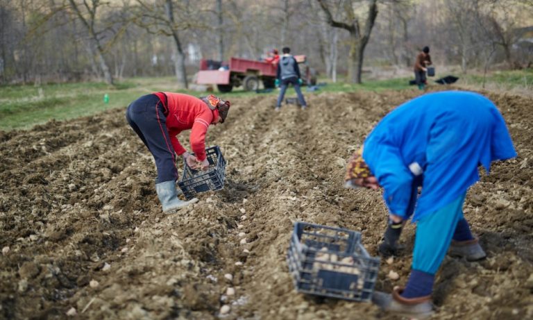 PUTOKAZ ZA ŽENE NA SELU: Teško je pobeći od tradicije 705zene Na Selu