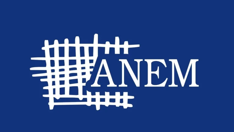 Anem