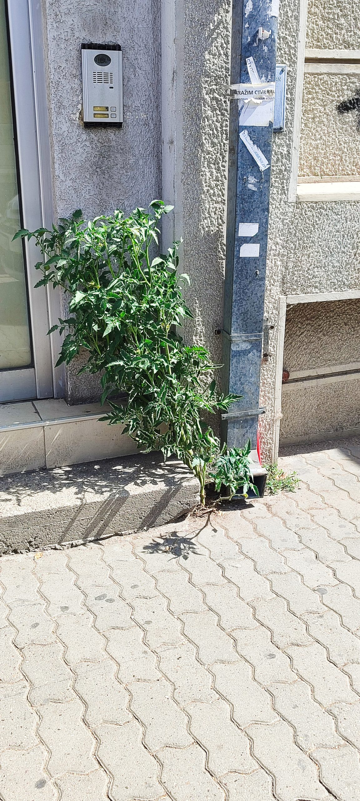 1788945123628