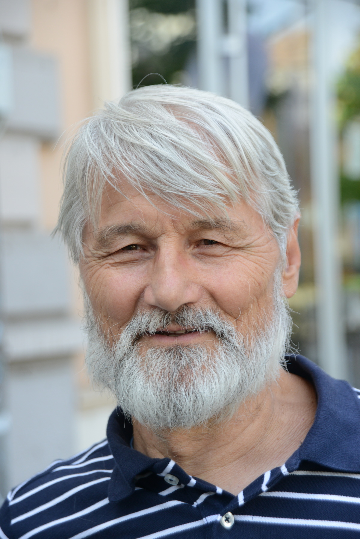 5.branimir Palibrk